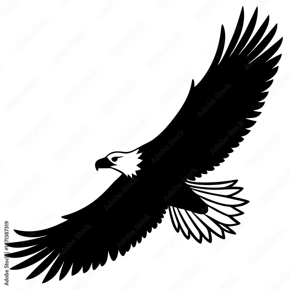 Obraz premium eagle on white background