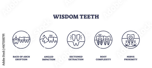 Wisdom teeth icons outline shows different extraction scenarios with teeth, arrows, and jawbone, illustrating dental issues. Outline icons set
