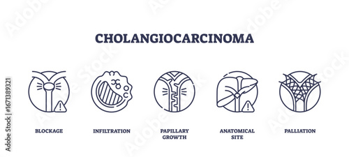 Cholangiocarcinoma is shown with outline icons of bile duct blockage, infiltration, papillary growth, anatomical site, and palliation. Outline icons set