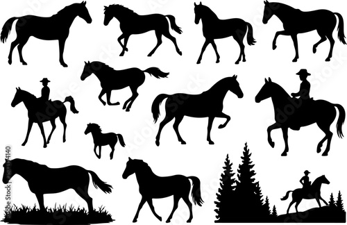 Cowgirl and Equestrian Horse Silhouettes"
