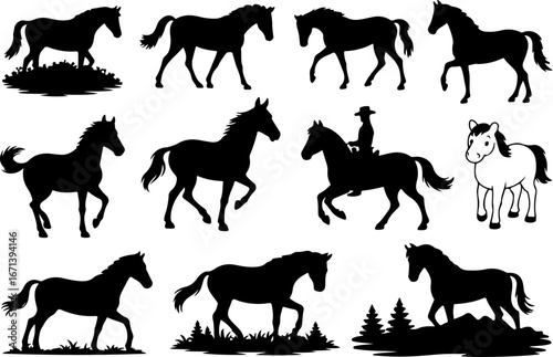 Cowgirl and Equestrian Horse Silhouettes"