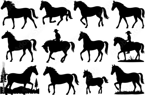 Cowgirl and Equestrian Horse Silhouettes"