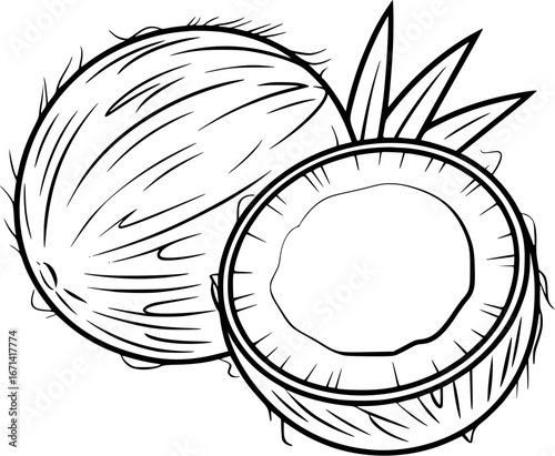 A simple line drawing of a whole coconut and a halved coconut with its flesh visible