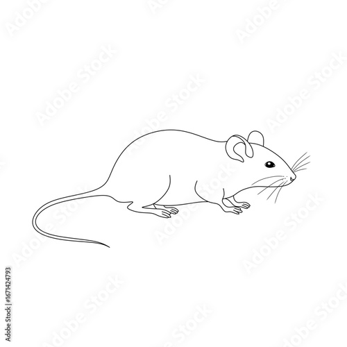 Simple Black and White Drawing of a Small Mouse