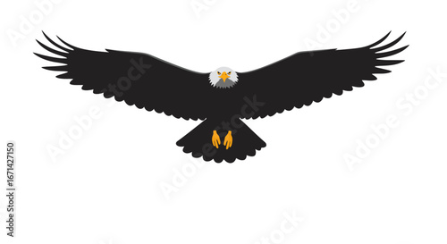 Majestic bald eagle in flight with wings spread wide showcasing its powerful silhouette against a clean white background