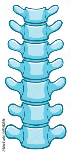 Light blue human spine illustration showing anatomy and structure for medical study