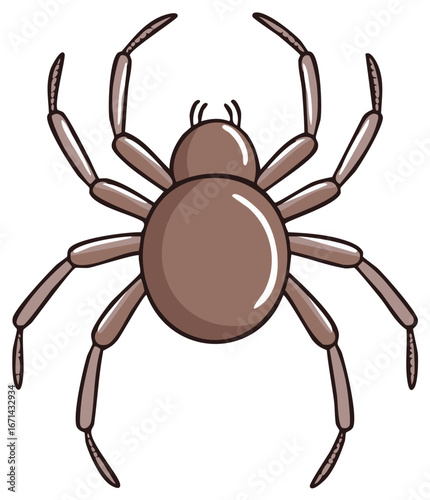 Cartoon spider illustration eight legs bug insect Halloween arachnid creepy crawly wildlife clip art