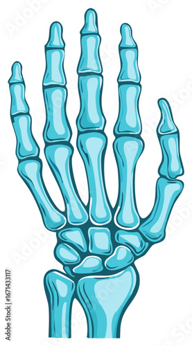 Stylized blue human hand bones anatomical illustration vector art