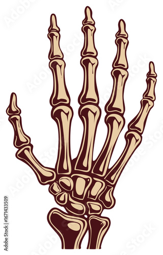 Stylized Human Skeleton Hand and Wrist Art