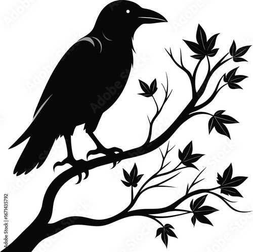 Silhouette of Crow on Tree Branch