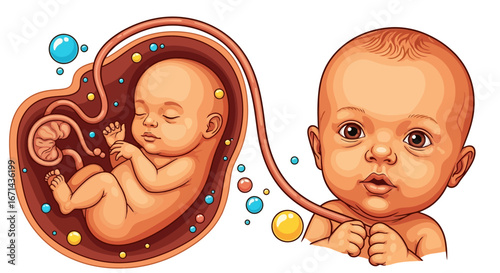 Adorable baby develops in womb alongside healthy newborn, symbolizing new life and growth