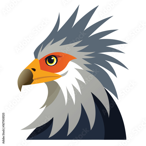Secretary Bird Portrait Detailed Vector Illustration On White Background