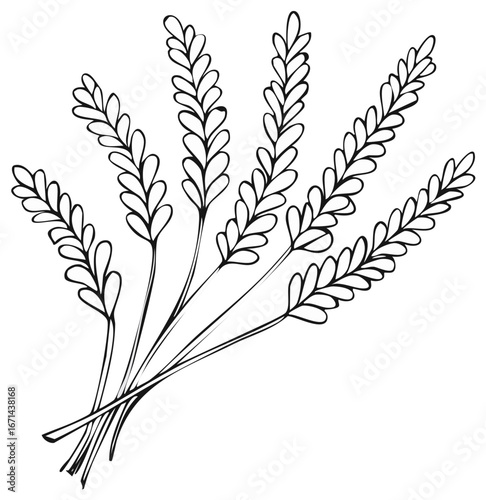 Stylized black and white illustration of wheat, harvest design