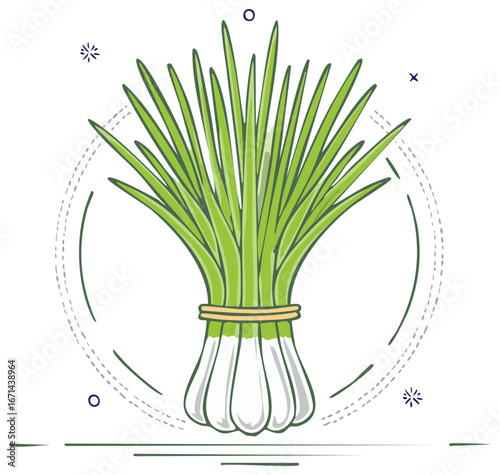 Illustration of a bunch of fresh green onions tied with a band, surrounded by decorative elements