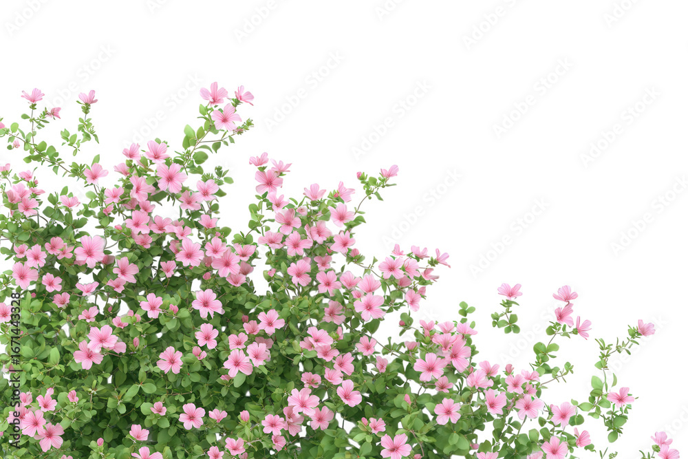 Fototapeta premium Small pink flowers isolated on transparent background