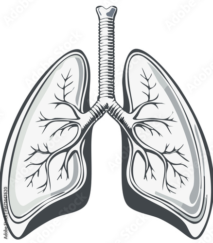 Human Lungs Anatomy Diagram Illustration, Monochrome Medical Concept