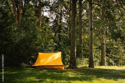 tent in the forest