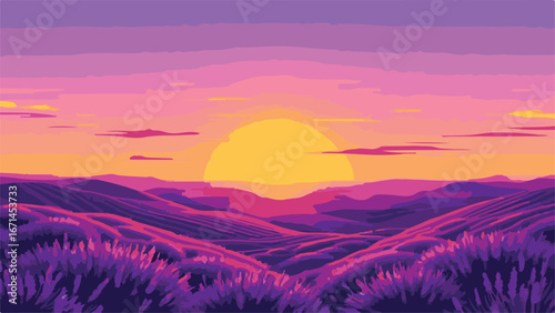 sunset over the field
