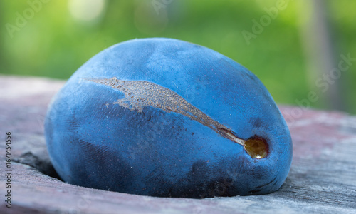plum