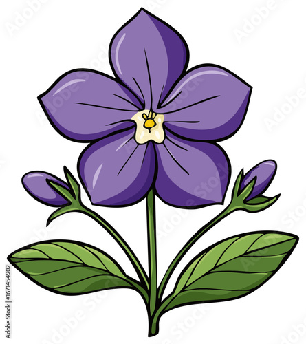 Illustrated flower with purple petals, green leaves and buds, a colorful cartoon floral illustration.