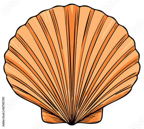 Stylized illustration of a vibrant orange fan shaped scallop seashell