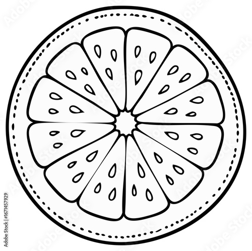 Black and white illustration of a sliced citrus fruit, detailed outline, seed pattern.