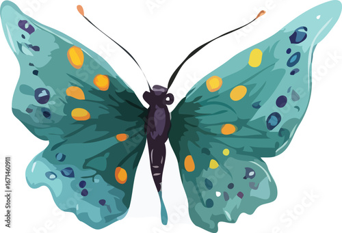 Butterfly vector illustration