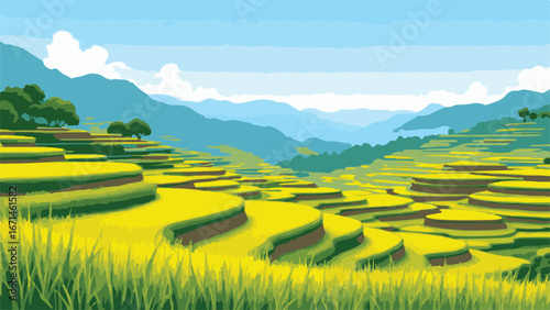 rice terraces in bali