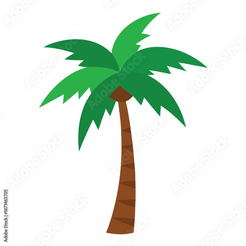 palm tree isolated on white