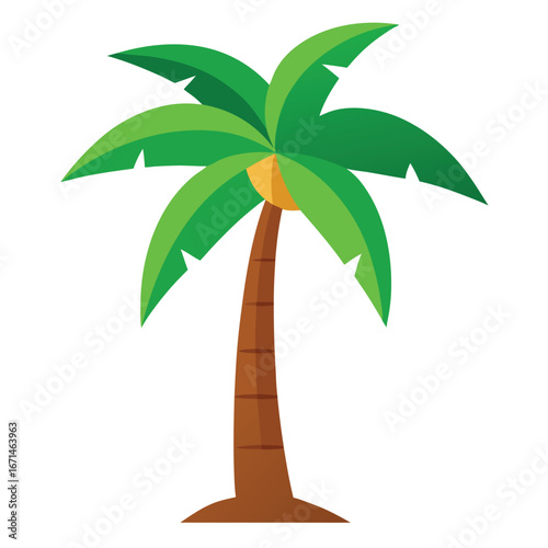 palm tree on white background