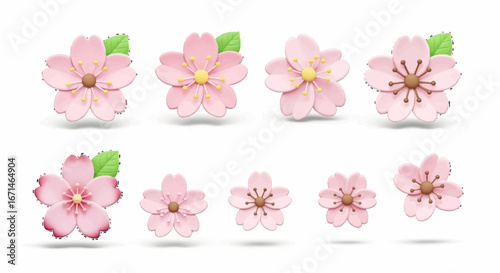A beautiful collection of stylized 3D and flat design pink cherry blossom flowers, also known as sakura, isolated on a white background for seasonal spring decorations