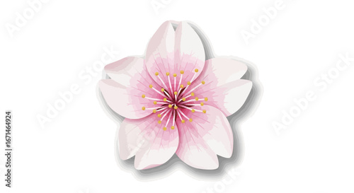 A beautiful and delicate pink cherry blossom illustration, symbolizing the ephemeral beauty and renewal of spring, isolated on a white background