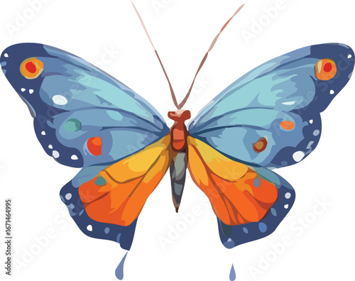 Butterfly vector illustration