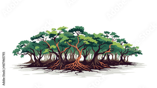 Mangrove Forest with Roots