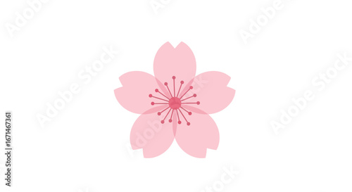 Elegant vector icon of a single pink Japanese sakura or cherry blossom flower. A beautiful symbol of springtime and floral nature