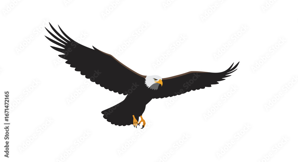 Naklejka premium Majestic bald eagle soaring with wings spread wide in a powerful flight against a clean white background showcasing its iconic silhouette