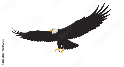 Majestic bald eagle in flight with wings spread wide showcasing its powerful silhouette against a clean white background
