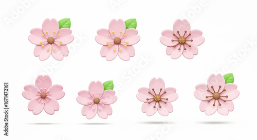 Stylized 3D rendering of a set of Japanese sakura or cherry blossom flowers with a cute, soft clay texture isolated on a white background