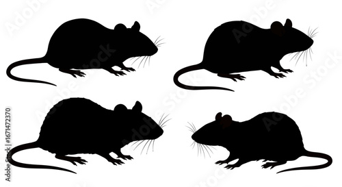 Four black rodent silhouettes with long tails and detailed ears displayed against a white background in a clean graphic style silhouette