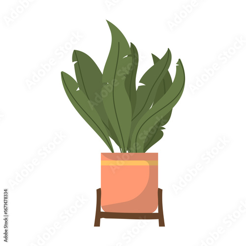 Flat Style Minimalist Bird of Paradise Plant Indoor Decoration Illustration