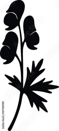 Illustrator Vector Aconitum poisonous plant flower and leaf botanical silhouette