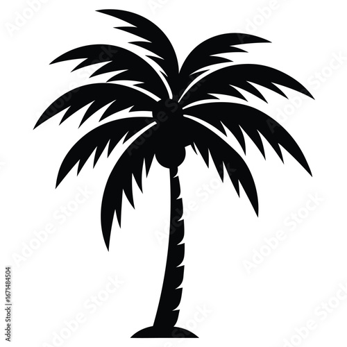 silhouette of palm trees