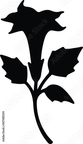 Illustrator Vector Datura flower blooming nightshade plant botanical silhouette