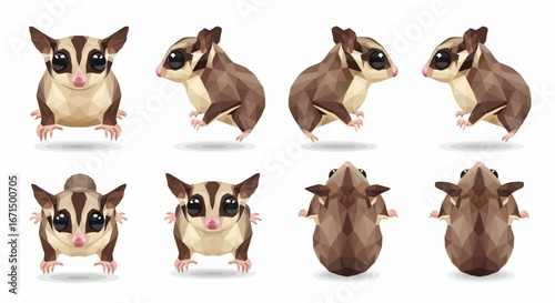 Eight polygonal illustrations of a sugar glider, showcasing various poses and viewpoints.