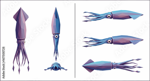 Low-poly squid illustrations, various angles, design, animation, graphic.