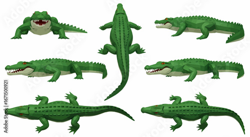 Various detailed illustrations of a green alligator or crocodile, presented from multiple angles including front, top, and side views.