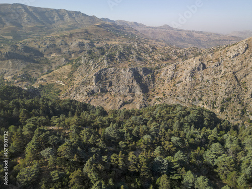 Aerial view of dense green forest meets the rugged, sun-kissed mountains, a tapestry of nature's artistry unfolds from above, Tannourine El Faouqa, North Governorate, Lebanon.