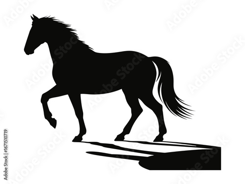 Black horse silhouette walking with shadow white animal