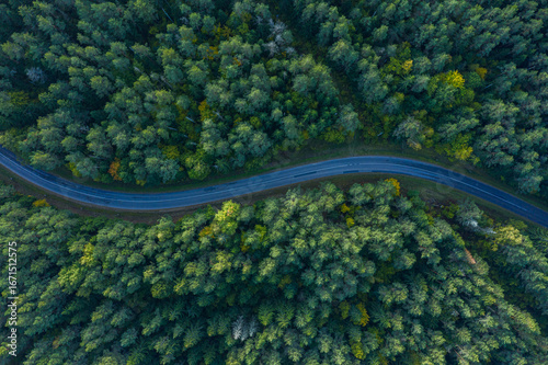 Tableau sur toile Drone aerial view of a winding forest road in Lithuania surrounded by dense gree
