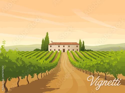 Picturesque Tuscan Vineyard Landscape with Farmhouse and Rows of Grape Vines under a Warm Sky a Scene of Tranquility and Beauty